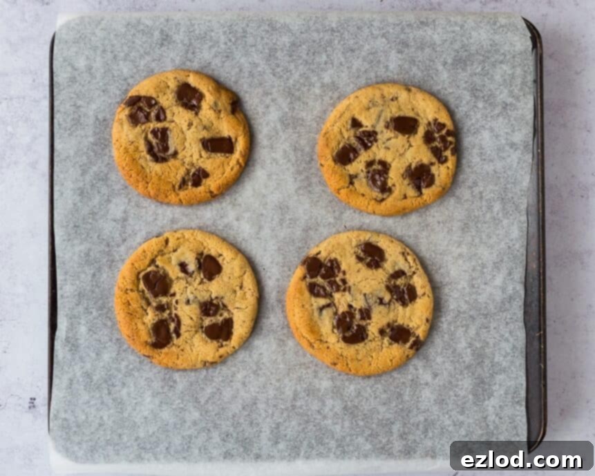 Step 4: A baking tray filled with golden-brown vegan peanut butter chocolate chip cookies, freshly baked and cooling, ready to be transferred to a wire rack.