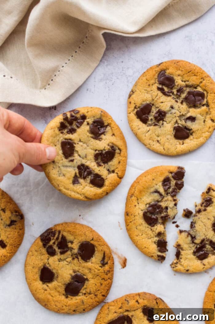 A hand reaches eagerly for a warm, freshly baked vegan peanut butter chocolate chip cookie, tempting the viewer to grab one too. Set on a wire rack.