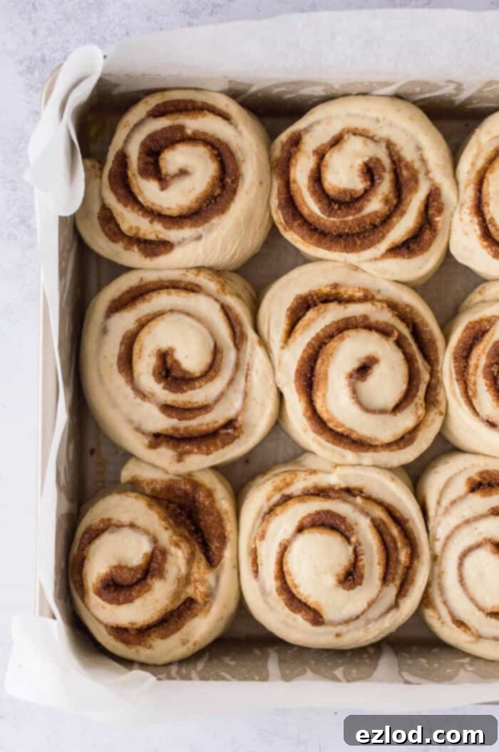 A tray of unbaked vegan banana bread cinnamon rolls in a square tin, before their second rise.