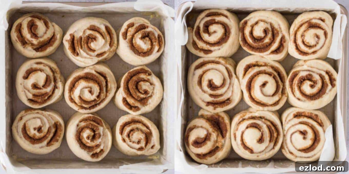 Unbaked cinnamon rolls arranged in a square baking tin, covered and rising for the second time.
