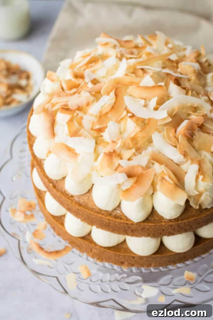 Close-up detail of golden toasted coconut flakes artfully scattered on top of a beautifully frosted vegan coconut layer cake, adding both texture and enhanced flavor.