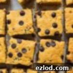 squares of sweet potato chocolate chip cake from above.