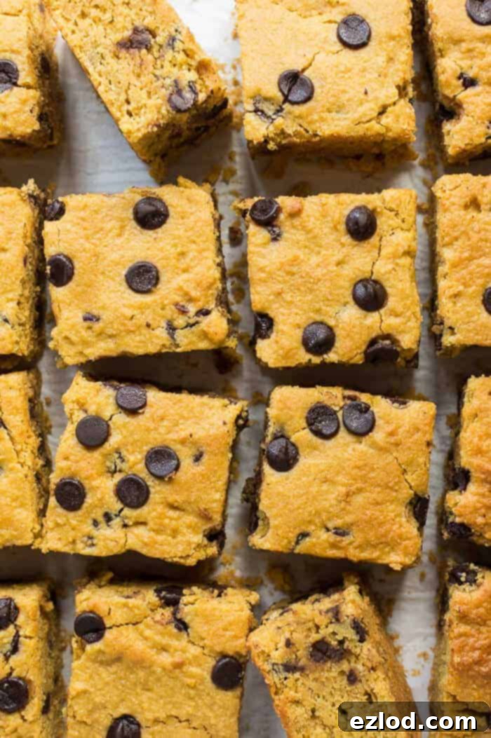 Several square slices of vegan sweet potato chocolate chip cake, viewed from directly above, showcasing their even texture and delightful chocolate chips.