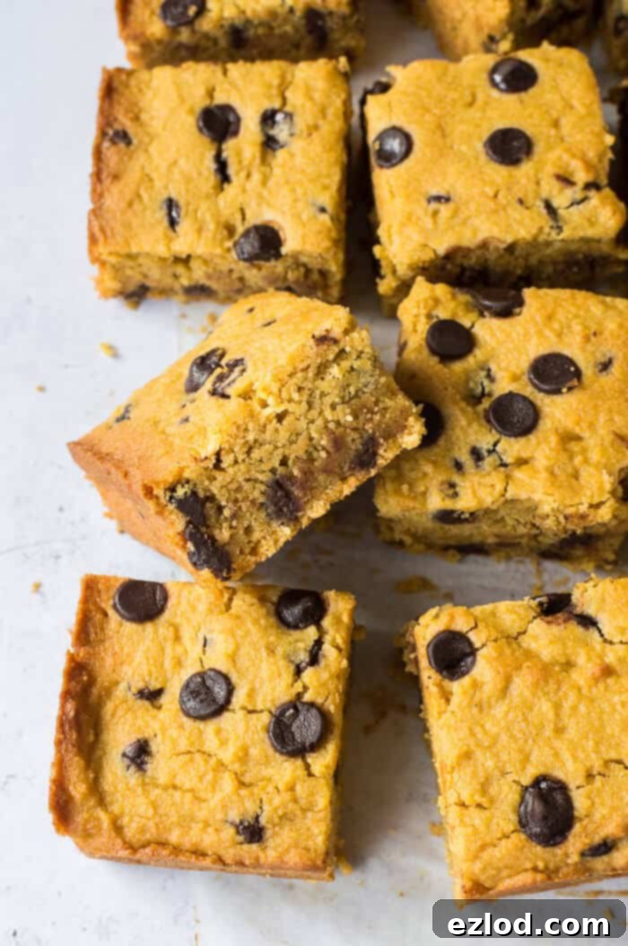 A close-up view of the side of a sweet potato chocolate chip cake square, highlighting its moist, dense texture and flecks of chocolate.