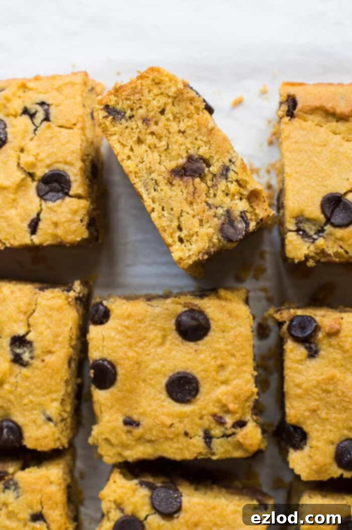 Close-up of the moist, rich texture of the sweet potato chocolate chip cake, with visible chocolate chips, after it has cooled and been sliced.