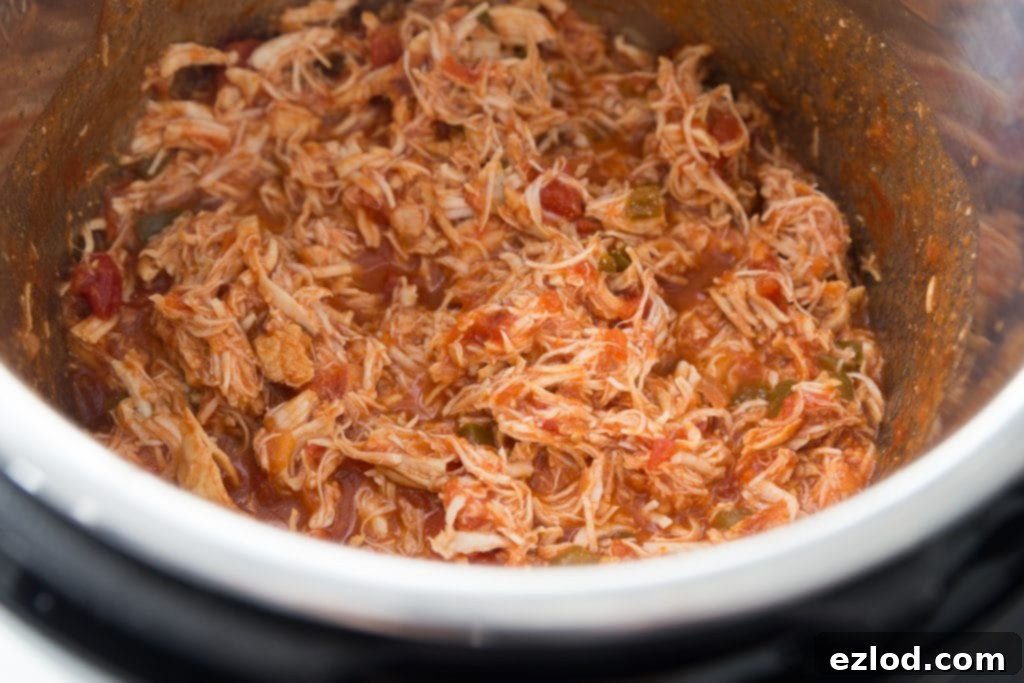 Delicious Salsa Lime Chicken served in a bowl, ready to eat.