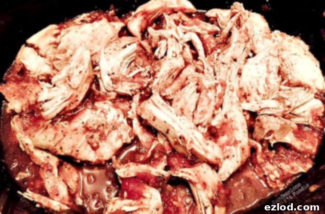 Shredded Salsa Lime Chicken in a slow cooker, ready to be served.