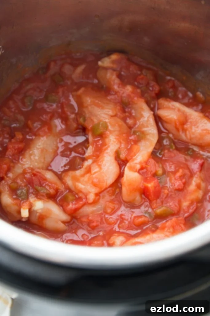 Chicken breasts and salsa inside an Instant Pot, ready for cooking.