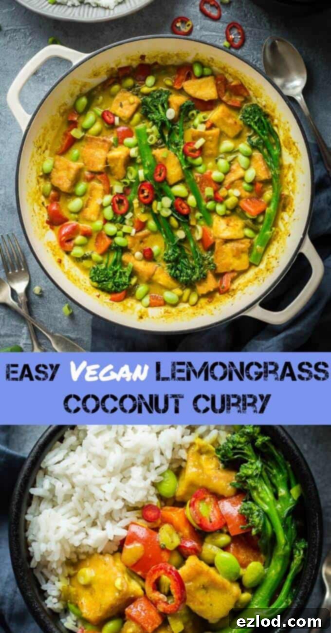 Overhead shot of a beautifully presented vegan lemongrass coconut curry with rice, garnished with fresh herbs, ready to be enjoyed.