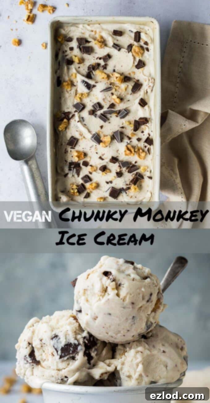 Vegan chunky monkey ice cream - creamy vegan banana ice cream with chocolate chunks and walnuts. This Ben & Jerry's copycat is easy to make and so delicious! #vegan #plantbased #dairyfree #eggless #dessert #vegandessert #veganicecream #bananaicecream #chunkymonkey #chocolate #walnut #gelato img 9638 11