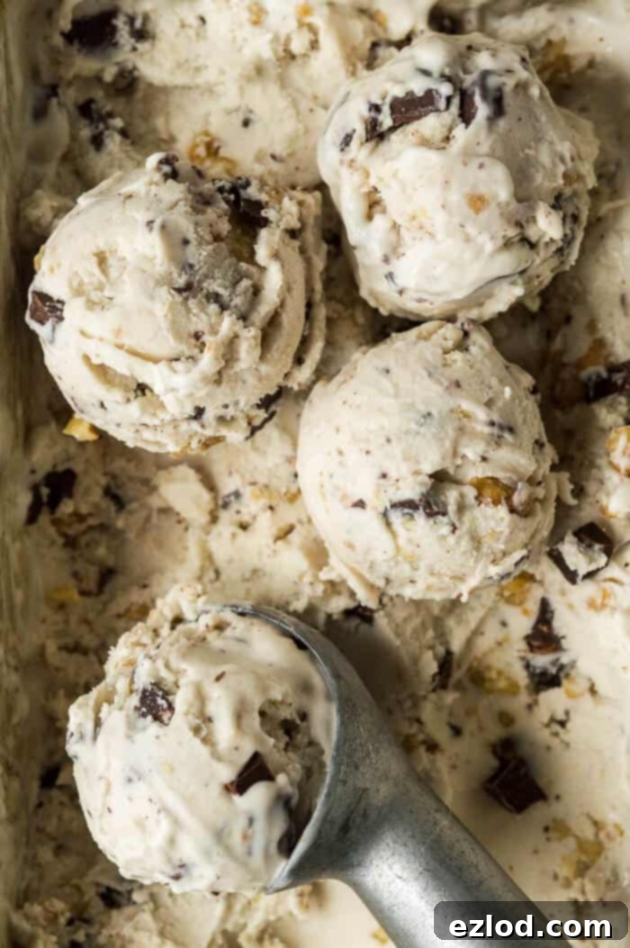 Scoops of vegan chunky monkey ice cream with an ice cream scoop.