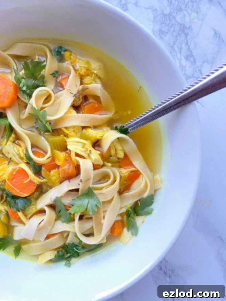 Instant Pot Chicken Noodle Soup, gluten-free
