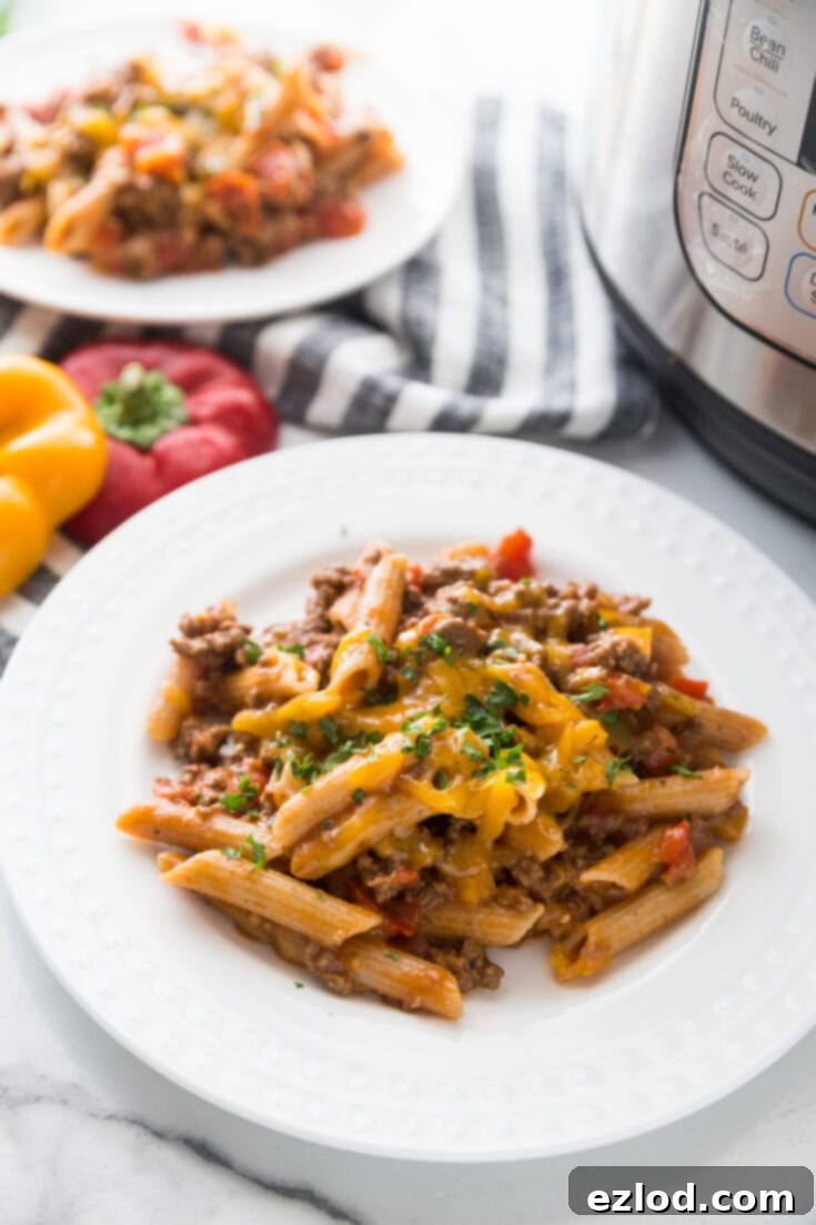 Instant Pot Enchilada Pasta recipe for 21 Day Fix and Weight Watchers