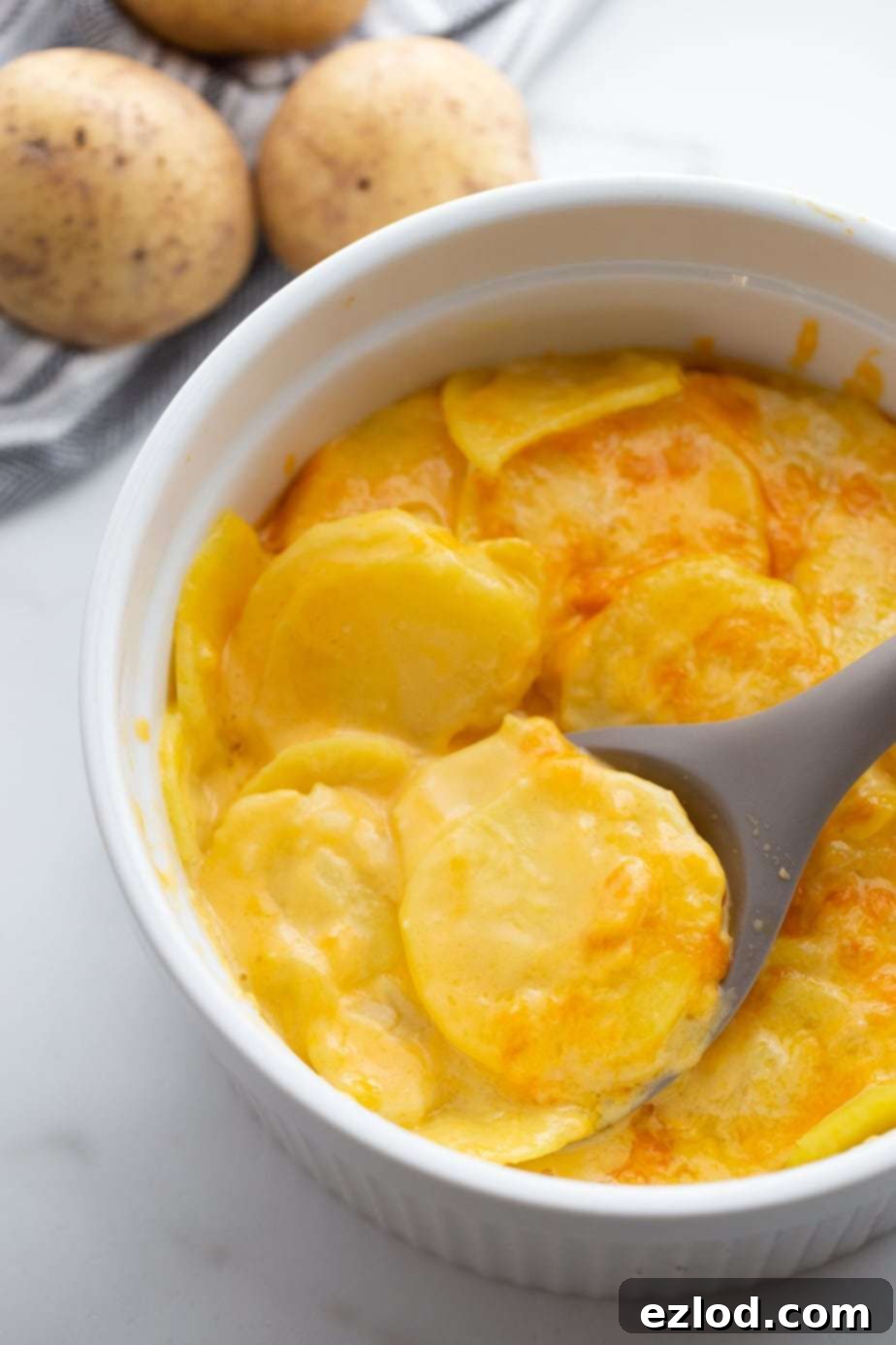 Overhead image: sliced potatoes in cheese sauce, baked with a bubbly crispy top