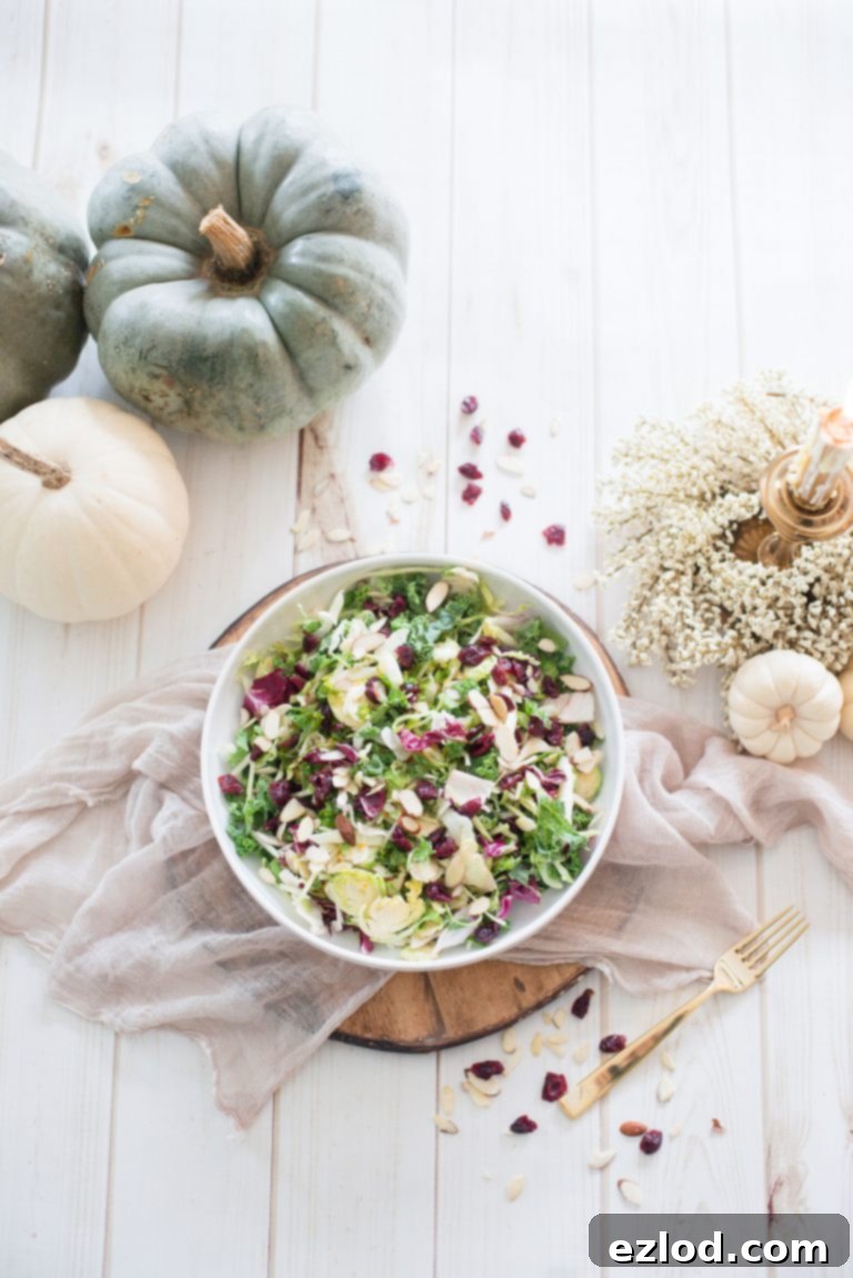 An overhead photo of Maple Cider Holiday Salad. The salad is in a white bowl and contains cabbage and greens, dried cranberries, and sliced almonds. The bowl is on a dark wooden circle with beige fabric underneath. There are white and blue/gray pumpkins, cranberries, almonds, and a fork decorating the white wooden surface.