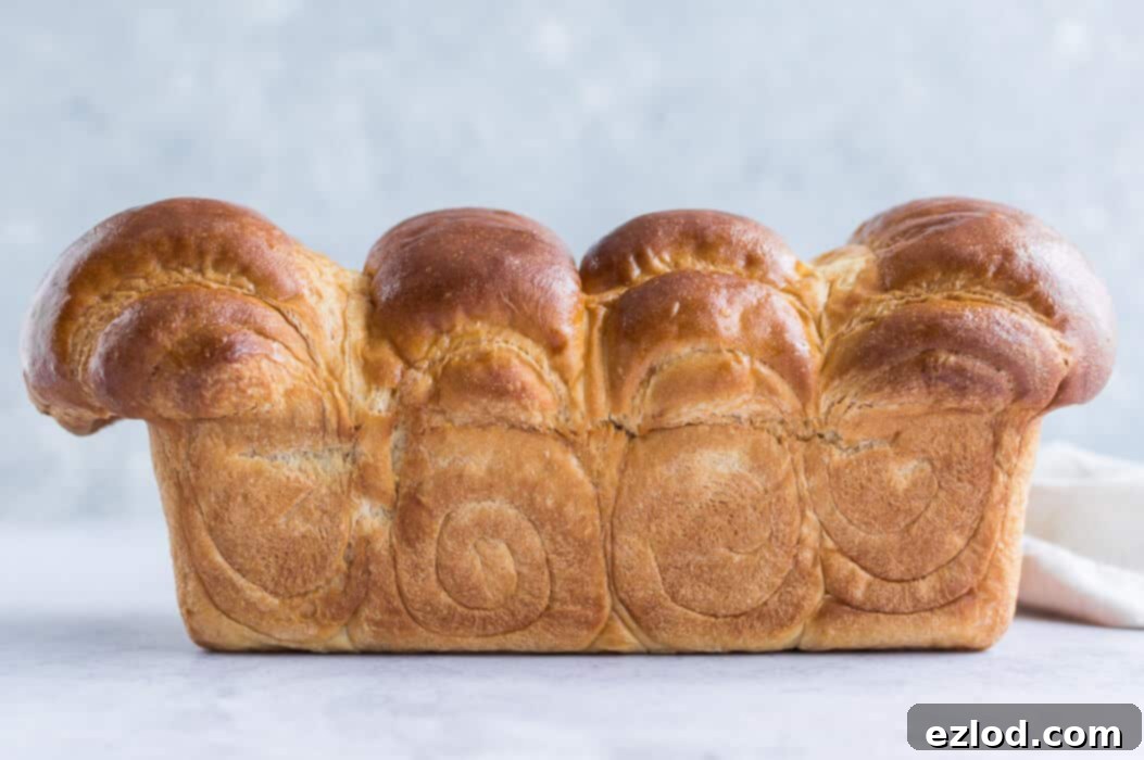 A beautifully baked vegan Hokkaido milk bread loaf with a golden-brown crust, sitting on a cooling rack.