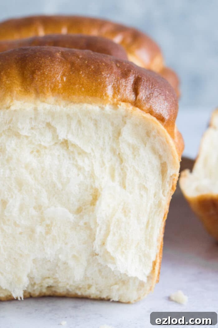 A detailed close-up of the perfectly soft and airy crumb of vegan Hokkaido milk bread, demonstrating its ideal texture.