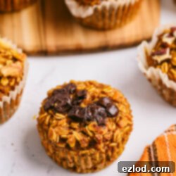 Spiced Pumpkin Oatmeal Muffins 8 Close-up of baked pumpkin oatmeal muffins with chocolate chips