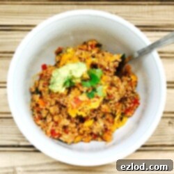 Turkey Quinoa Taco Bake topped with cilantro and avocado