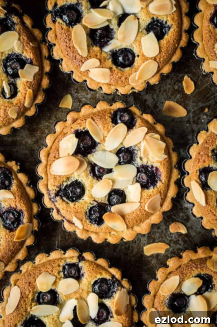 Vegan blueberry frangipane tarts on a dark baking tray.
