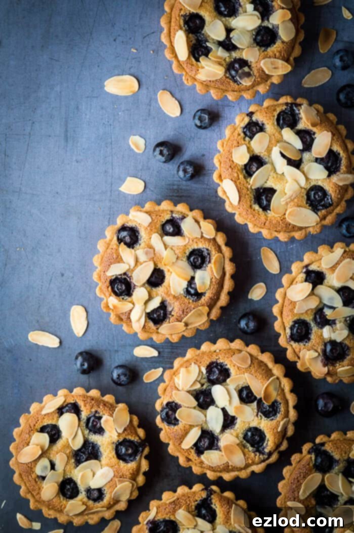 Vegan blueberry tarts arranged on a metal background with fresh blueberries and flaked almonds.