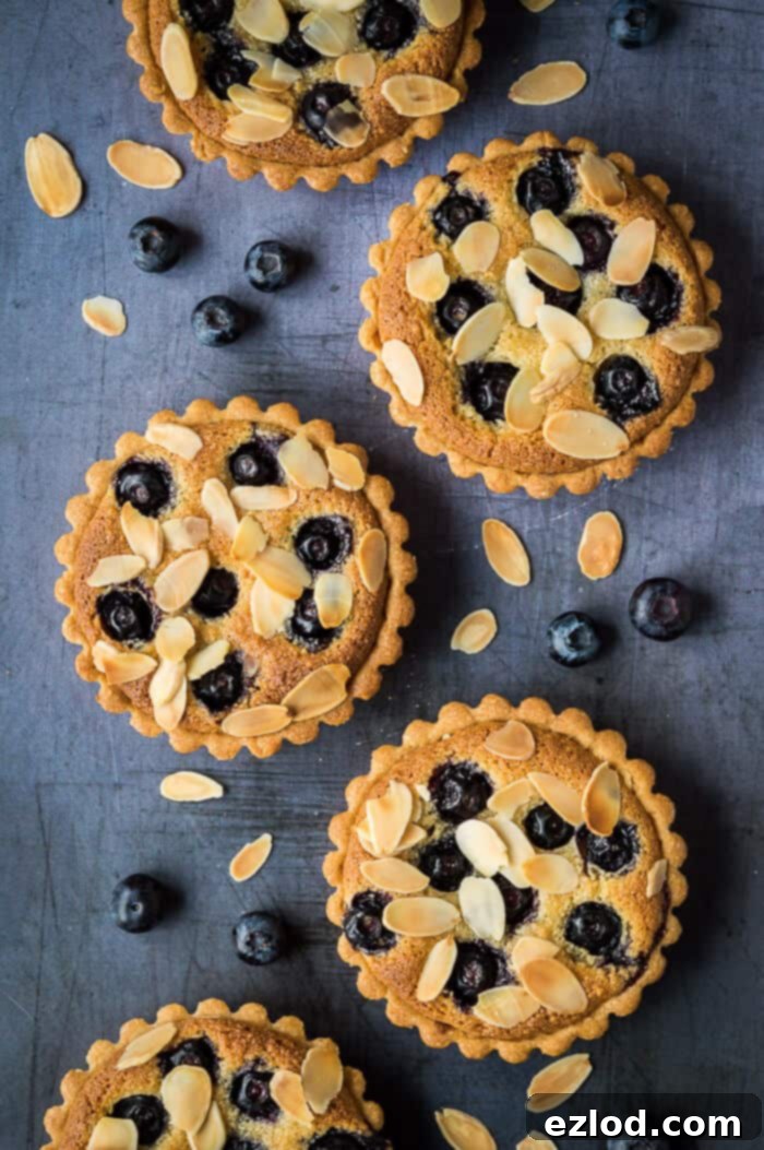 Blueberry bakewell tarts in a line on a metal background with blueberries and flaked almonds.