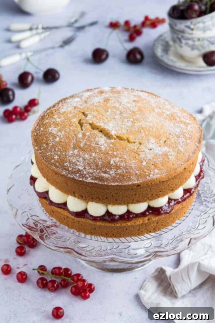 A beautifully assembled vegan Victoria sponge cake, featuring two golden vanilla layers generously filled with vibrant strawberry jam and fluffy white vanilla buttercream, presented on a elegant glass cake stand against a soft grey backdrop. Fresh cherries and redcurrants are scattered around, adding a touch of color.