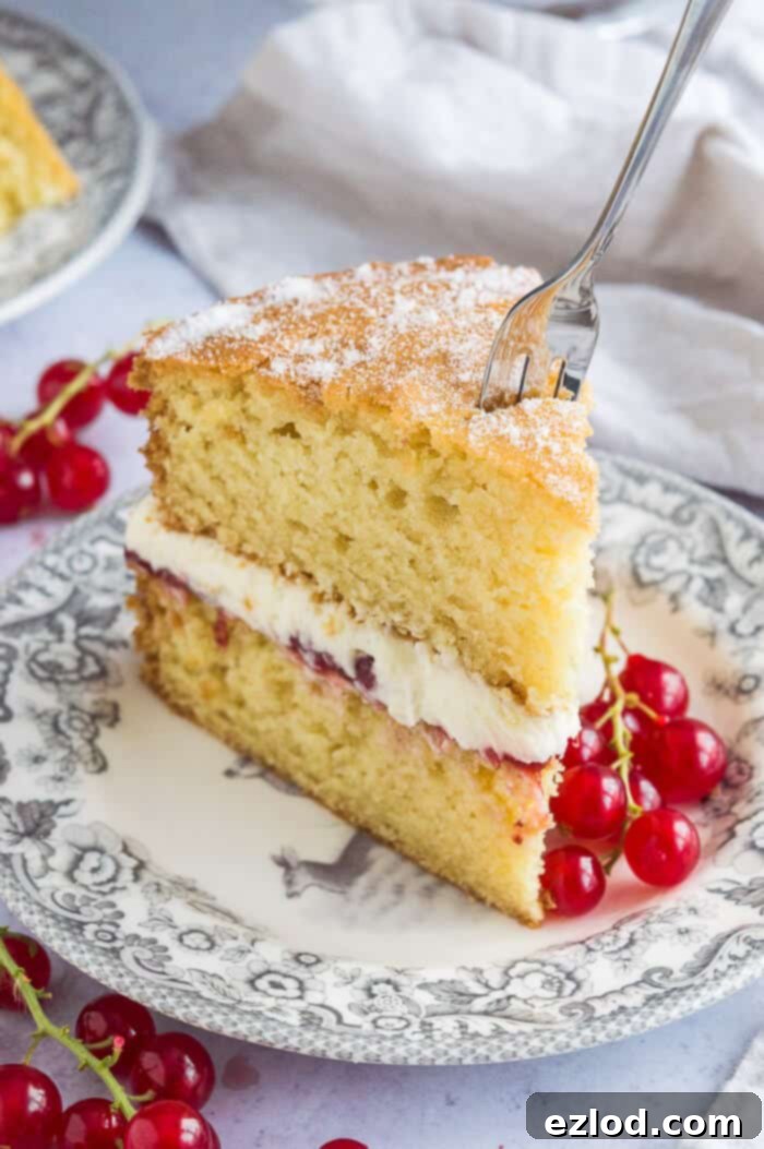 A close-up view of a perfect slice of vegan Victoria sponge cake, showing its tender vanilla layers, bright red jam, and creamy white buttercream filling. The slice rests on a grey patterned plate, with a fork gently piercing the cake, ready for a taste.