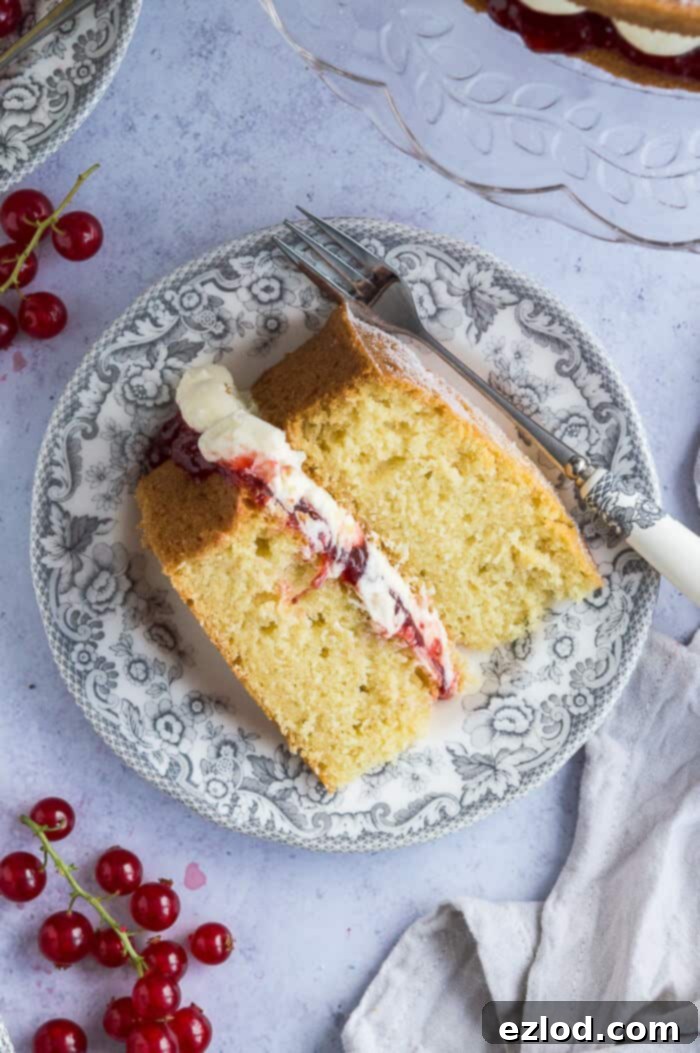 An artfully arranged slice of vegan Victoria sponge cake on a charming grey patterned plate, accompanied by a delicate cake fork. Fresh redcurrants are delicately placed next to the cake, adding a burst of color and a hint of tartness against the elegant grey background.