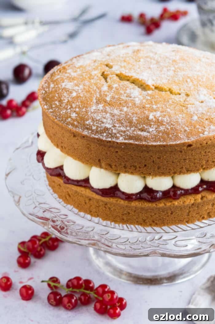 A tantalizing close-up shot revealing the side profile of a vegan Victoria sponge cake. The perfectly golden-brown cake layers are separated by a luscious stripe of bright red jam and distinct dollops of creamy vanilla buttercream, all resting elegantly on a glass cake stand.