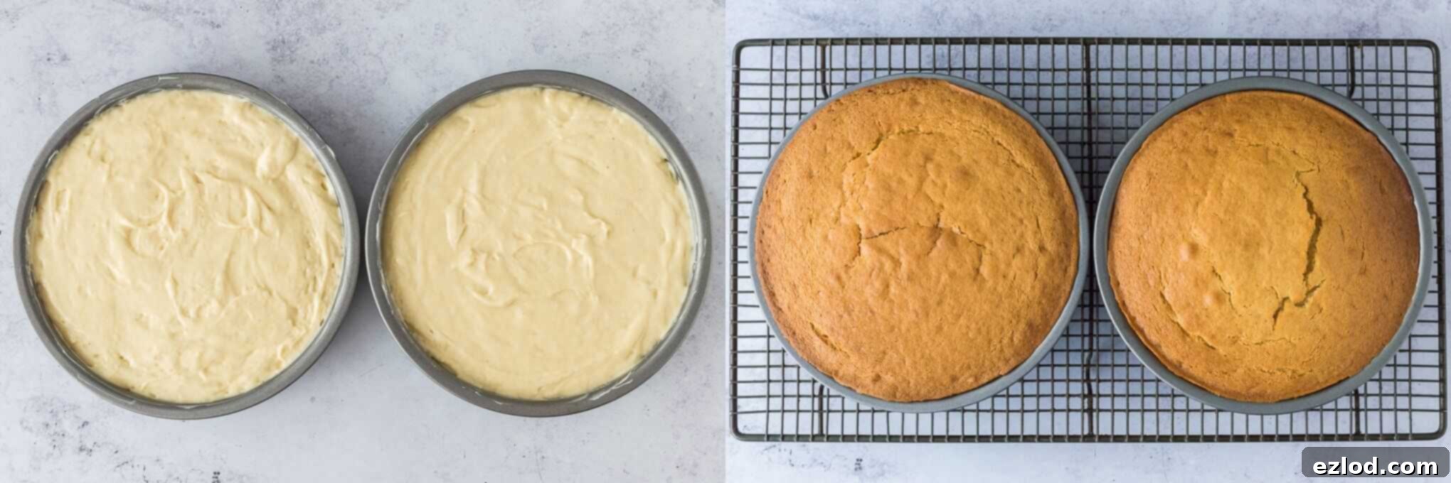 A step-by-step image demonstrating two golden-brown vegan Victoria sponge cake layers cooling on a wire rack after being baked, showcasing their perfect rise and readiness for frosting.