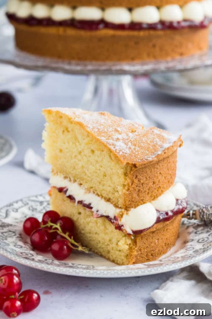 A grand display featuring a full vegan Victoria sponge cake on a glass stand, delicately dusted with caster sugar, with a tempting slice already removed and placed on a grey patterned plate nearby. Fresh redcurrants garnish the plate, complementing the cake's vibrant jam filling, all set against a soft, inviting background.