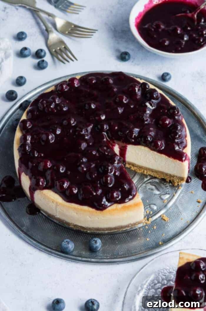 A beautifully presented vegan lemon blueberry cheesecake, garnished with fresh blueberries, on a stylish metal platter. A perfect dairy-free baked dessert.