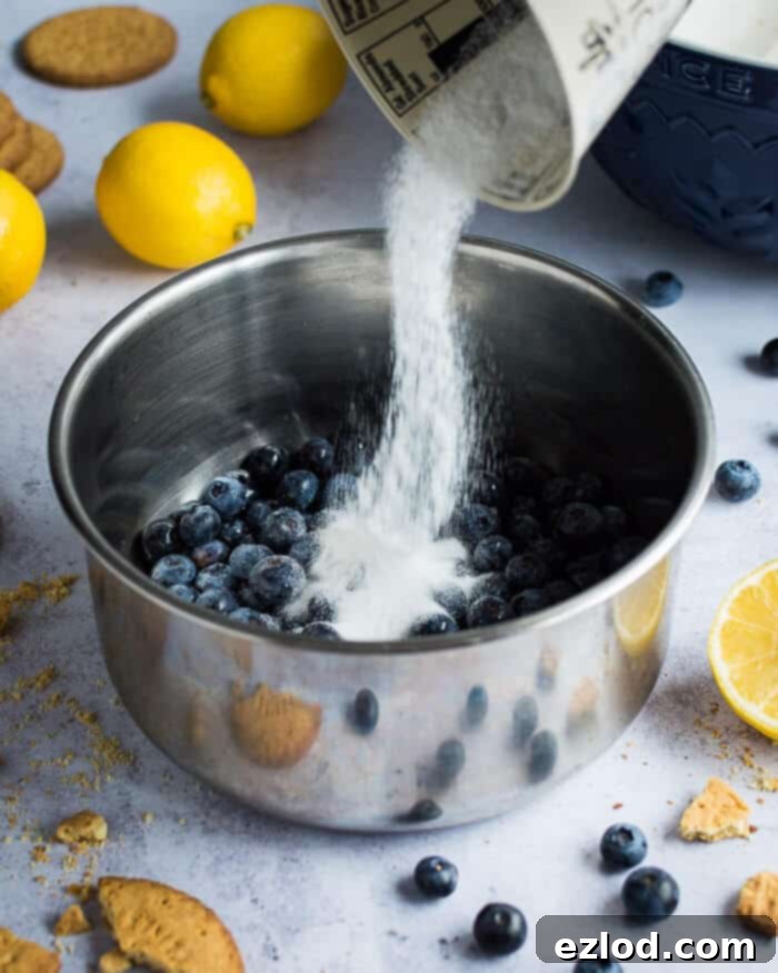 Pouring granulated sugar into a pan filled with fresh blueberries, beginning the process of making a sweet and tart compote.