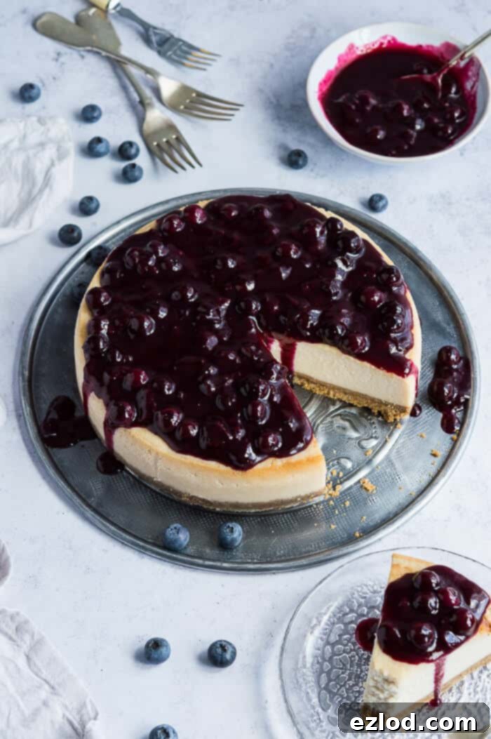A whole vegan baked lemon blueberry cheesecake, beautifully topped with compote, sitting on a metal platter surrounded by fresh blueberries and forks, against a grey background.
