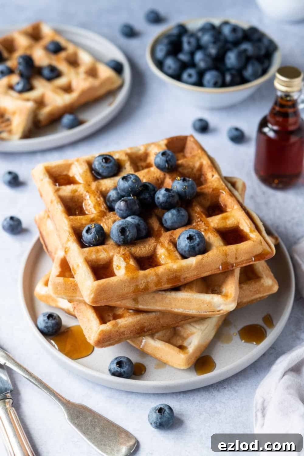 Plant-Powered Waffle Perfection 79 featured 11710