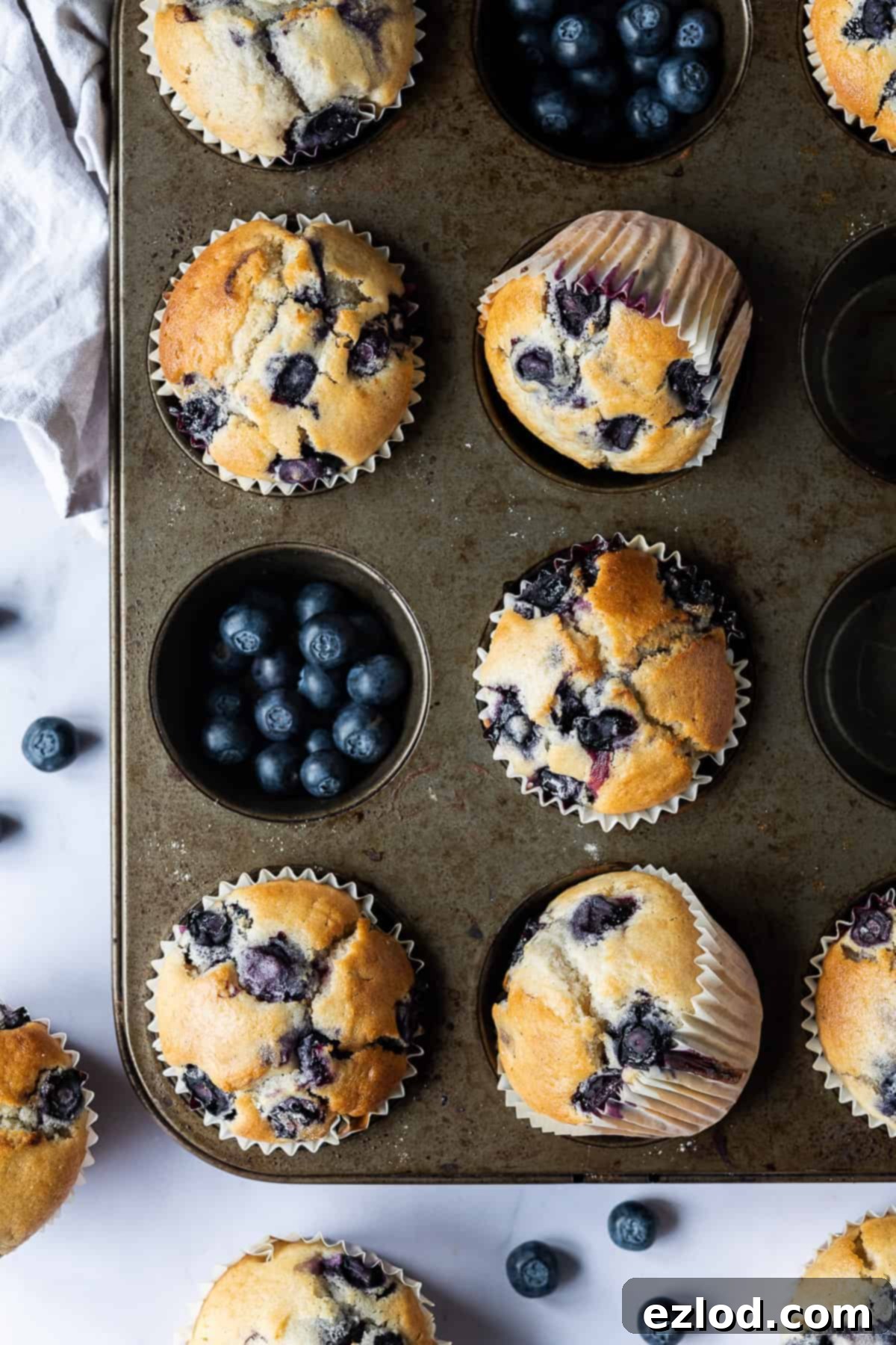 Plant-Powered Blueberry Muffins 1 featured 12028