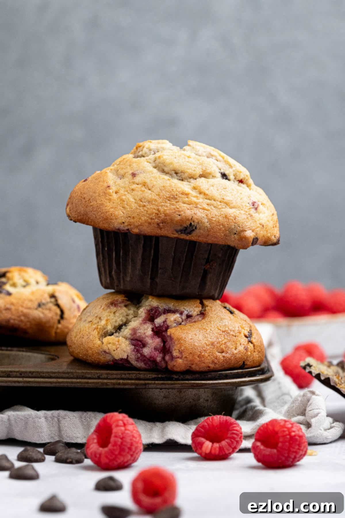 Plant-Based Chocolate Raspberry Muffins 1 featured 23093