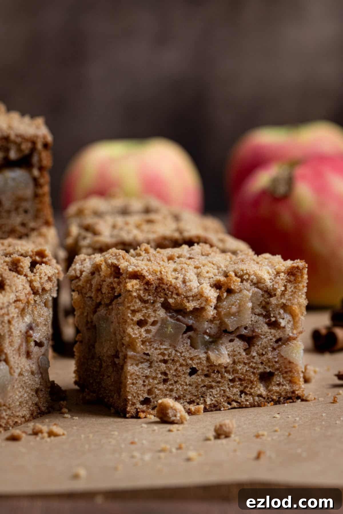 Spiced Vegan Apple Streusel Cake 83 featured 23903