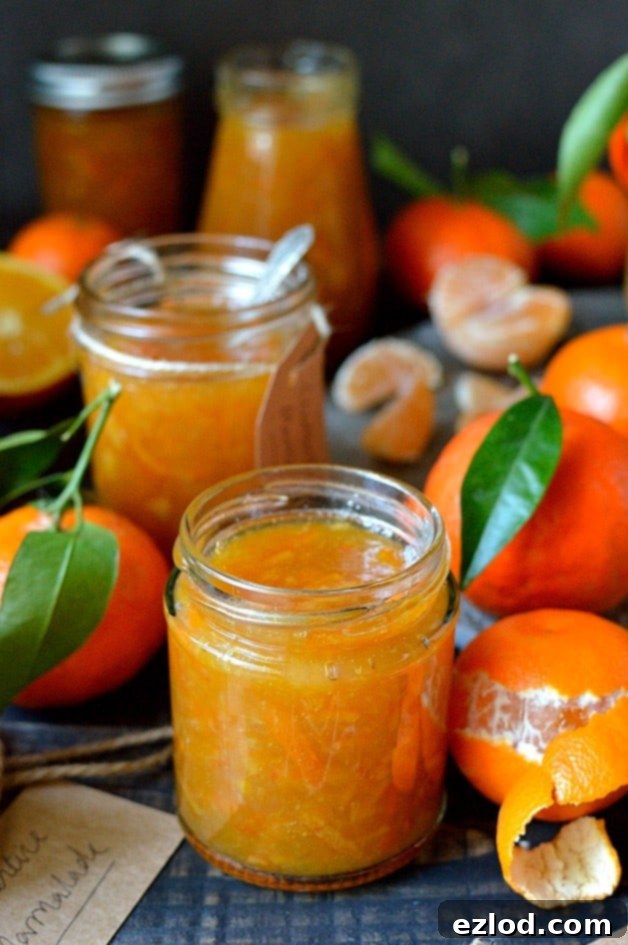 Radiant Clementine Marmalade 1 featured 4747