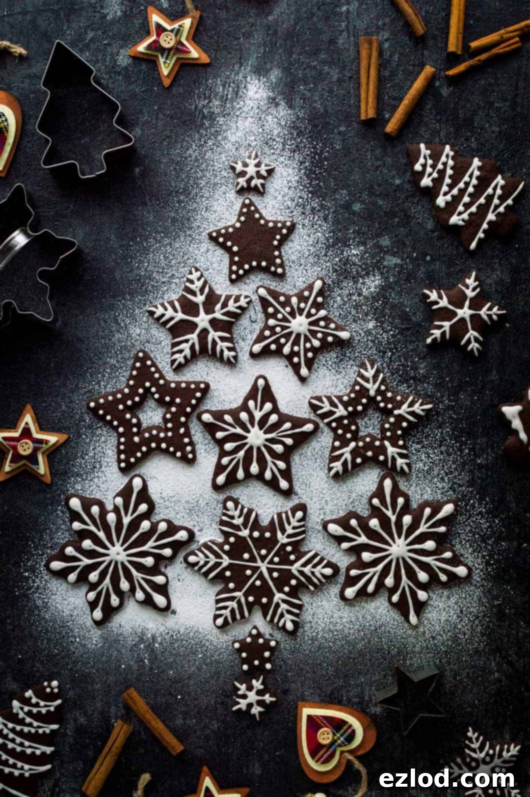 Vegan Chocolate Gingerbread Cookies 1 featured 6503