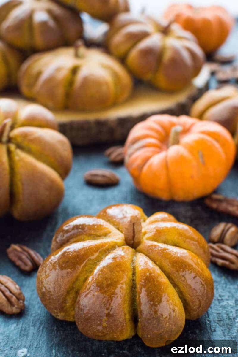 Spiced Pumpkin Bread Rolls 1 featured 7993