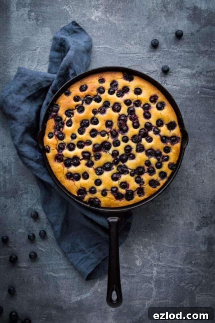 Lemon Blueberry Polenta Cake Vegan Gluten Free Low Fodmap Friendly 1 featured 9306