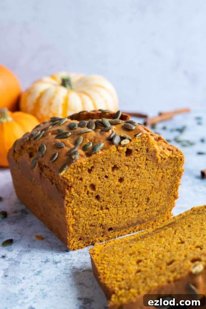 Autumnal Vegan Pumpkin Bread with Optional Mix-Ins The end slice of a moist vegan pumpkin loaf cake, with rustic mini pumpkins creating an inviting autumnal backdrop.