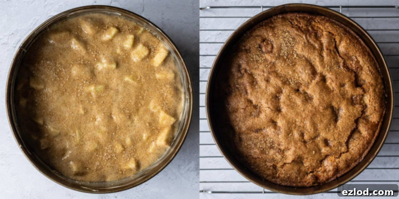 Step 3 in making vegan apple cake: the cake batter, topped with demarera sugar, baking in a round cake tin in the oven.