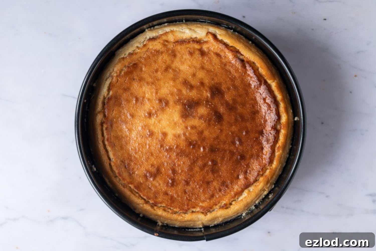 Step 5: Baking the creamy Vegan Baileys Cheesecake in a gentle water bath. Step-by-step image showing the vegan Baileys cheesecake baking in a water bath inside the oven.