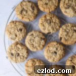 Chewy Vegan Oatmeal Raisin Cookies 6 vegan oatmeal raisin cookies on a round wire rack on a marble background