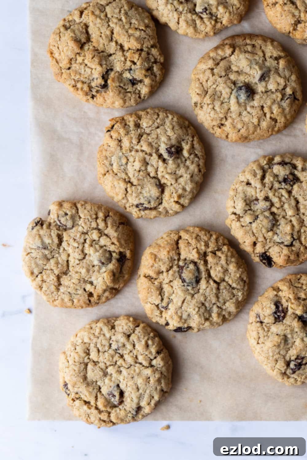 Vegan Oatmeal Raisin Cookies - these delicious egg and dairy-free cookies are crispy on the outside and soft and chewy in the middle. They are quick and easy to make and perfect for snacking on. #vegancookies #veganbaking #oatmealraisin #eggless #dairyfree Close-up of freshly baked vegan oatmeal raisin cookies artfully arranged on a sheet of brown baking parchment, set against a stylish marble background. Perfect for a quick and easy vegan snack.