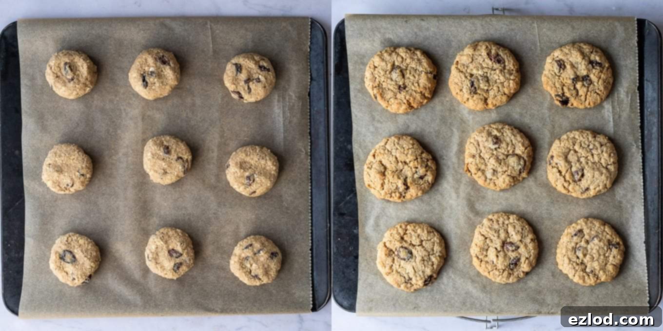 Chewy Vegan Oatmeal Raisin Cookies 5 Step 4: Freshly baked vegan oatmeal raisin cookies, golden brown around the edges, cooling on a wire rack after being removed from the oven.