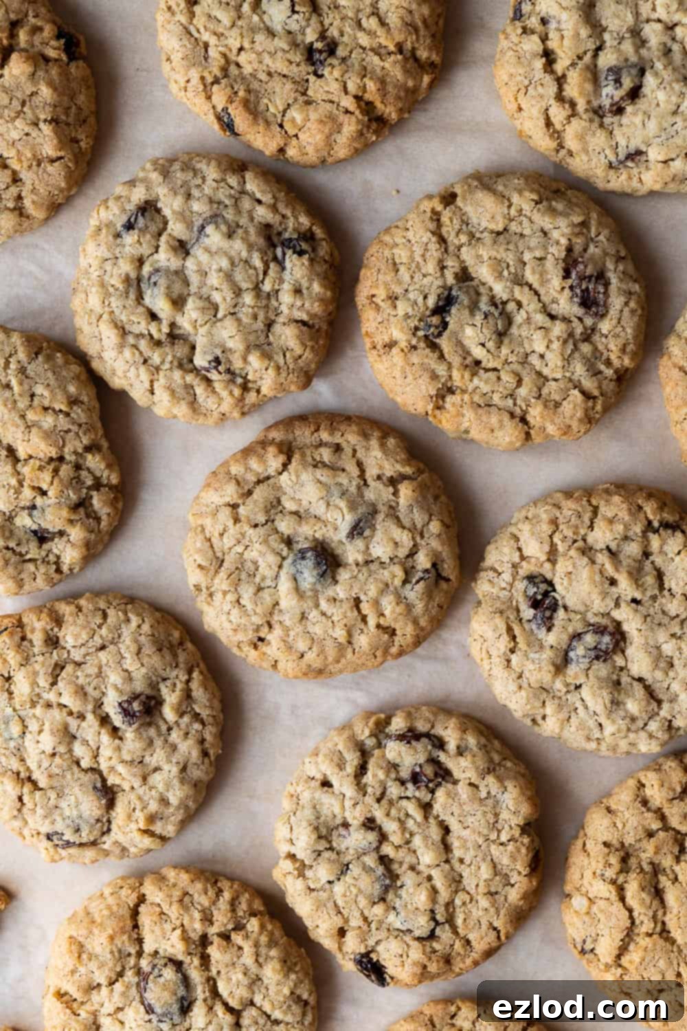 Vegan Oatmeal Raisin Cookies - these delicious egg and dairy-free cookies are crispy on the outside and soft and chewy in the middle. They are quick and easy to make and perfect for snacking on. #vegancookies #veganbaking #oatmealraisin #eggless #dairyfree A beautiful arrangement of eggless oatmeal raisin cookies resting on a sheet of brown baking parchment, showcasing their inviting golden hue and wholesome texture. Perfect for a vegan diet.